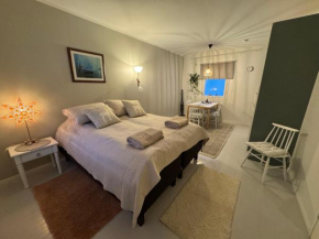 Kotoisa ja viihtyisä studio Aurora Rovaniemi